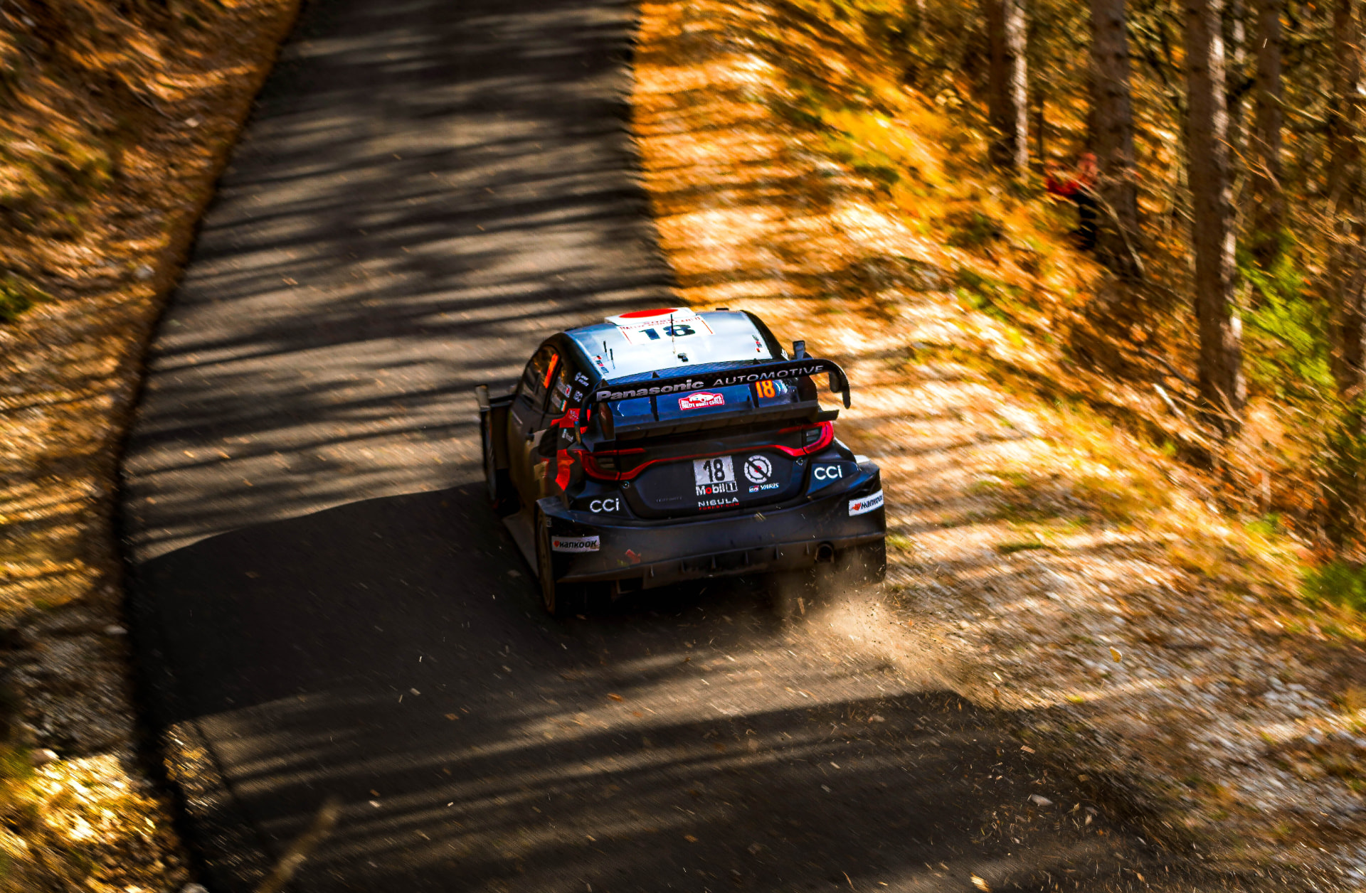 Rallye — Forest Stage